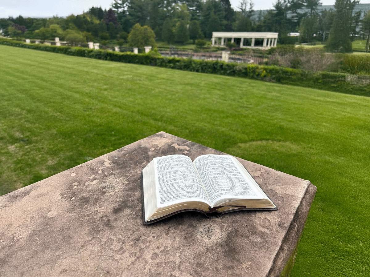 An open bible in the agape gardens of servant’s oasis An open bible in the agape gardens of servant's oasis.